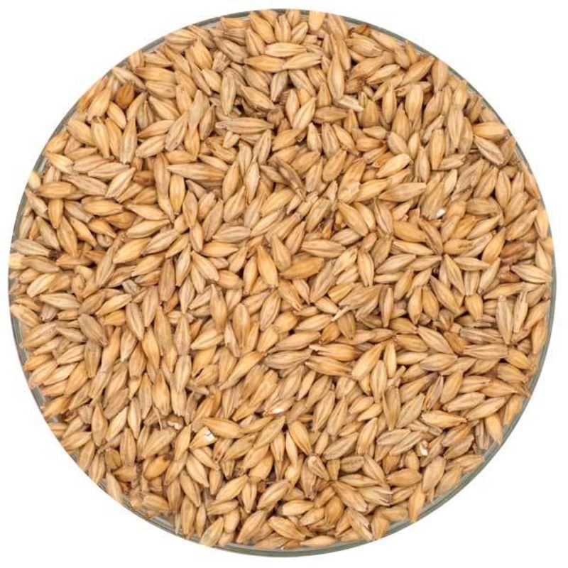 Chit Malt – Root Shoot Malting – 50 lb. Sack