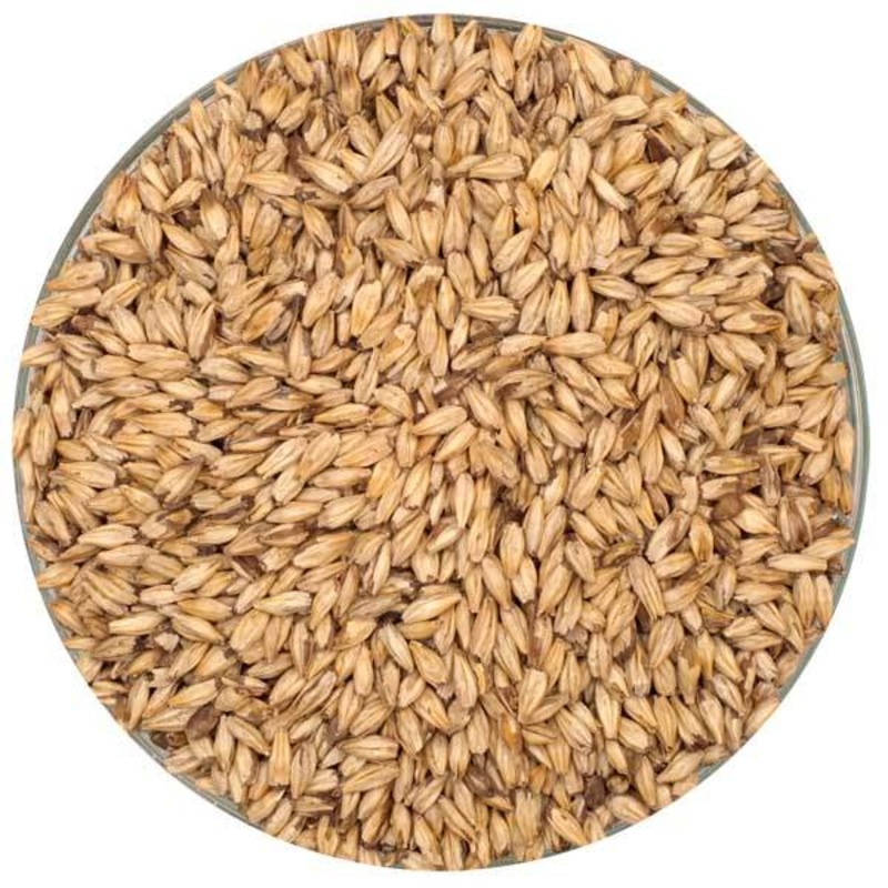 Dextrin Malt – Montana Craft Malt