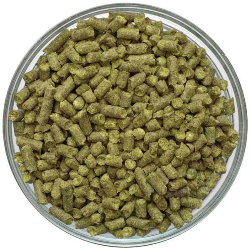 First Gold Hops Pellets 1 oz- UK