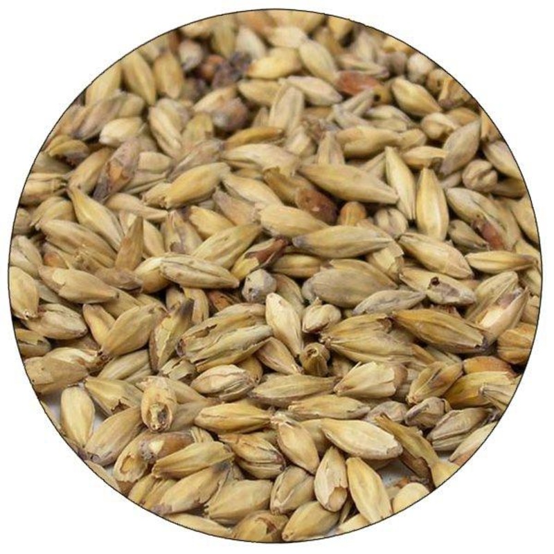 Melanoidin Gold Malt – Montana Craft Malt – 55 lb. Sack