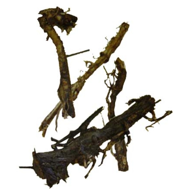 Triumph Hop Rhizomes