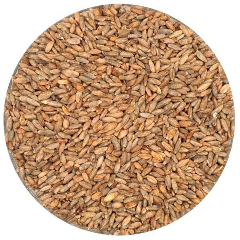 Rye Malt – Root Shoot Malting – 50 lb. Sack