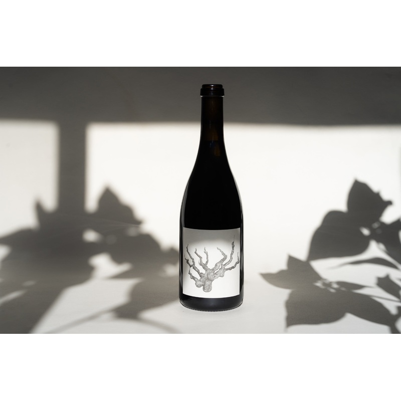 2013 OLD VINE CARIGNAN