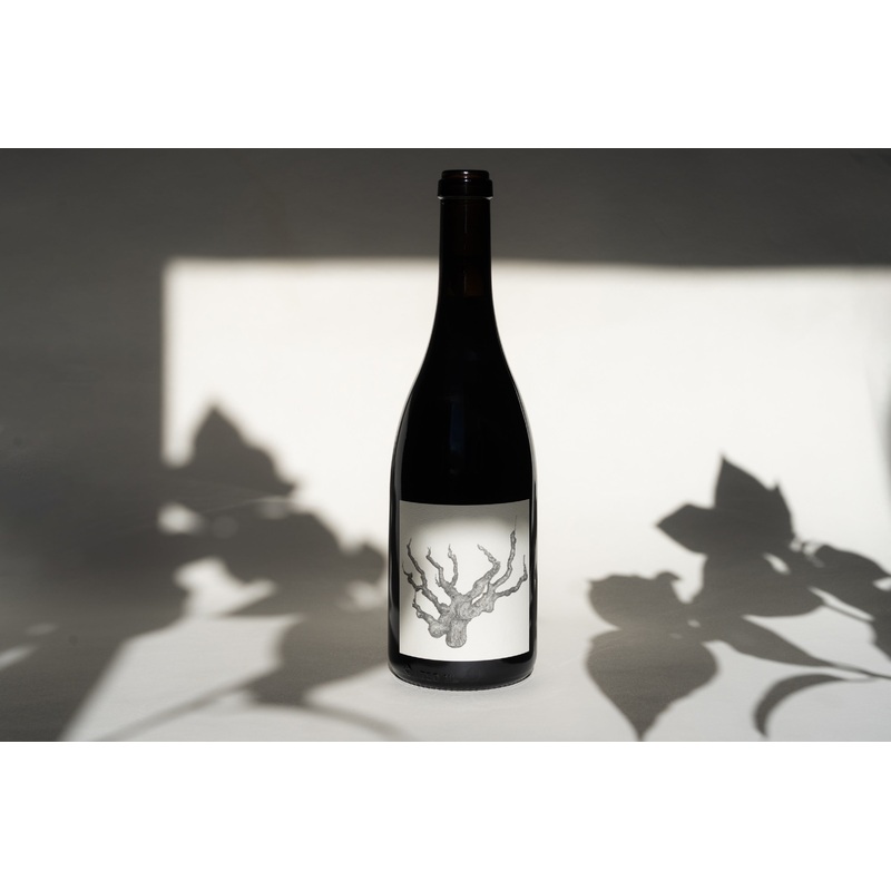 2015 OLD VINE CARIGNAN
