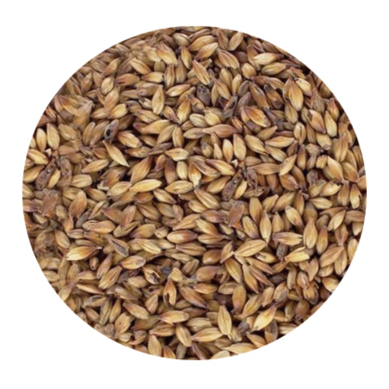 Cara Munich Malt – Franco Bel (per lb)