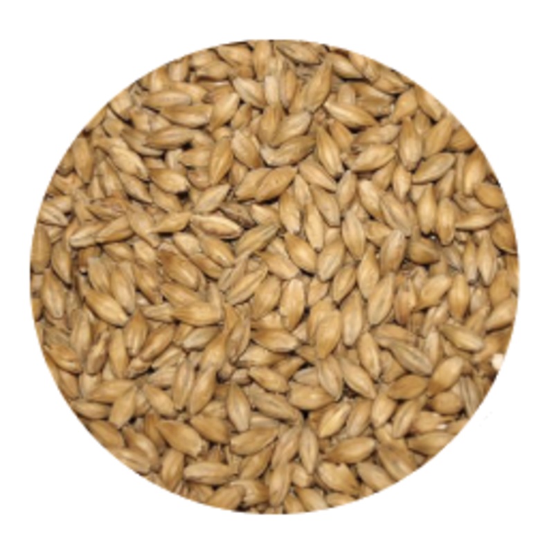 Honey Malt – Gambrinus (per lb)