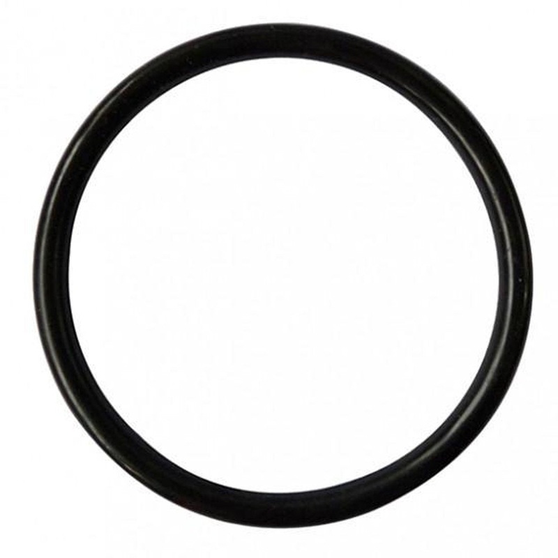 Keg – Replacement Lid O Ring