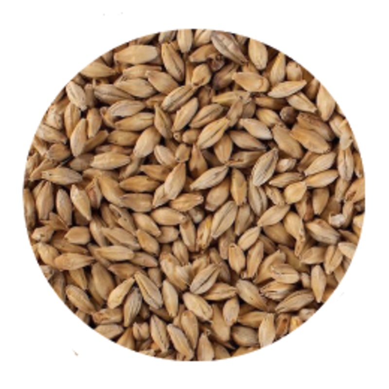 Munich Malt – Canada Malting Co. (per lb)