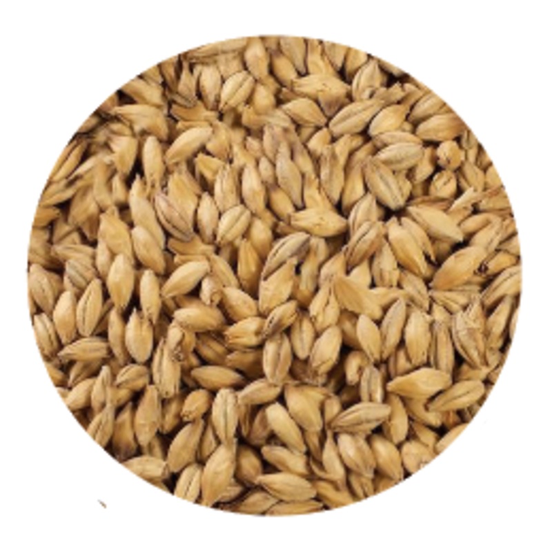 Peated Malt – Thomas Fawcett (per lb)