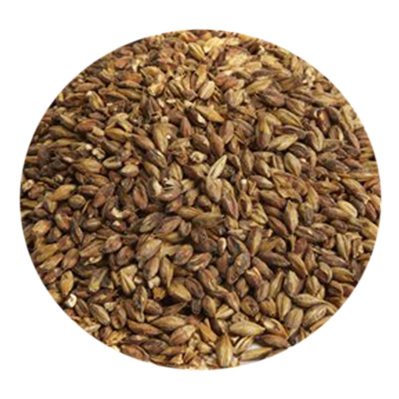 Special Roast Malt – Briess (per lb)