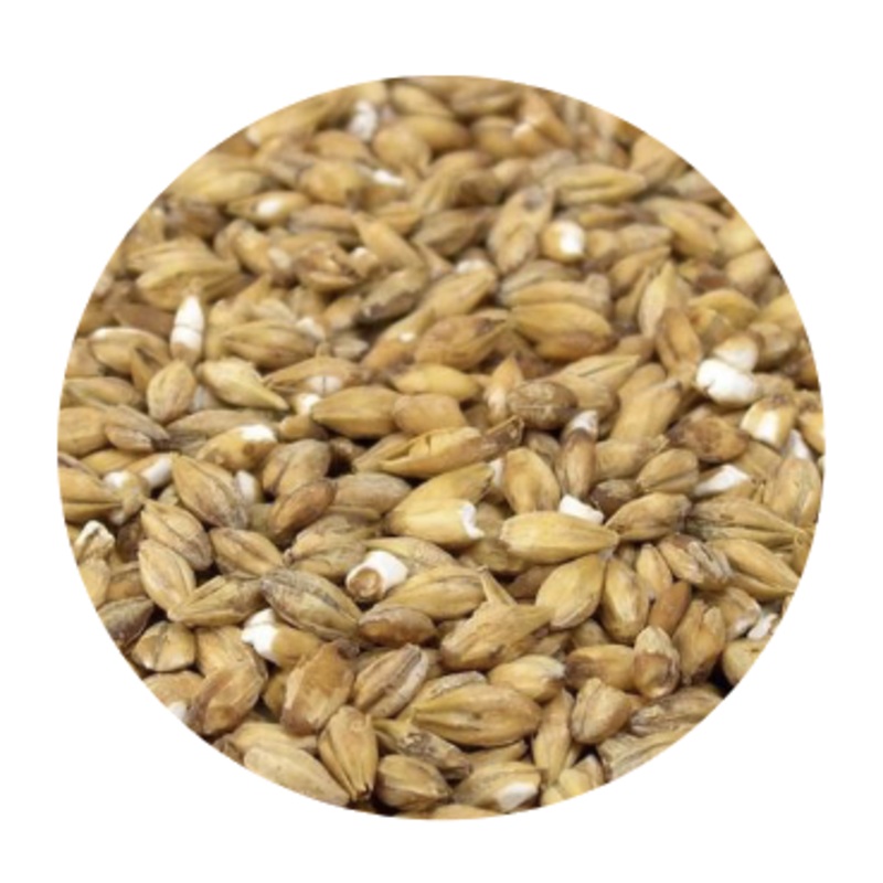 Acidulated Malt – Best Malz (per lb)