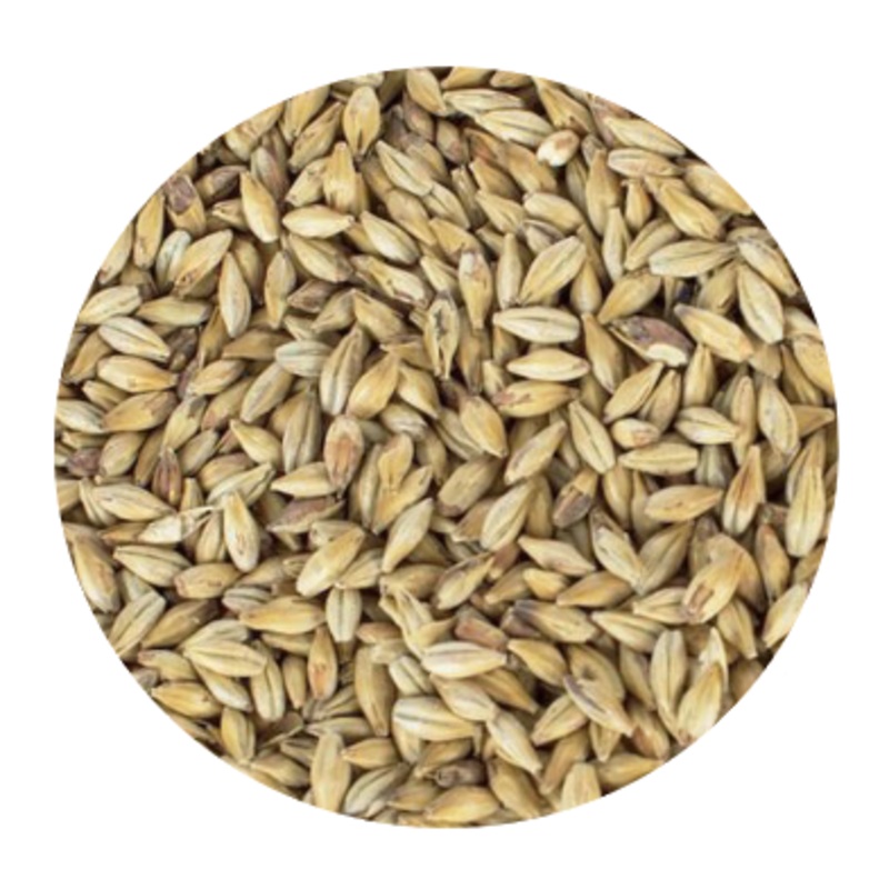Aromatic Malt – Best Malz (per lb)