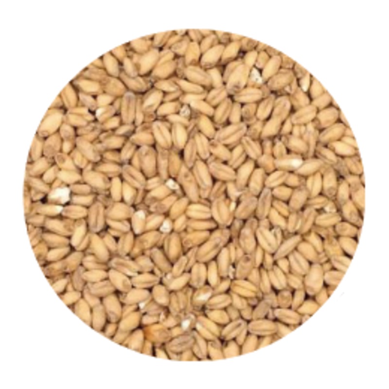 Wheat Malt – Canada Malting Co. (per lb)