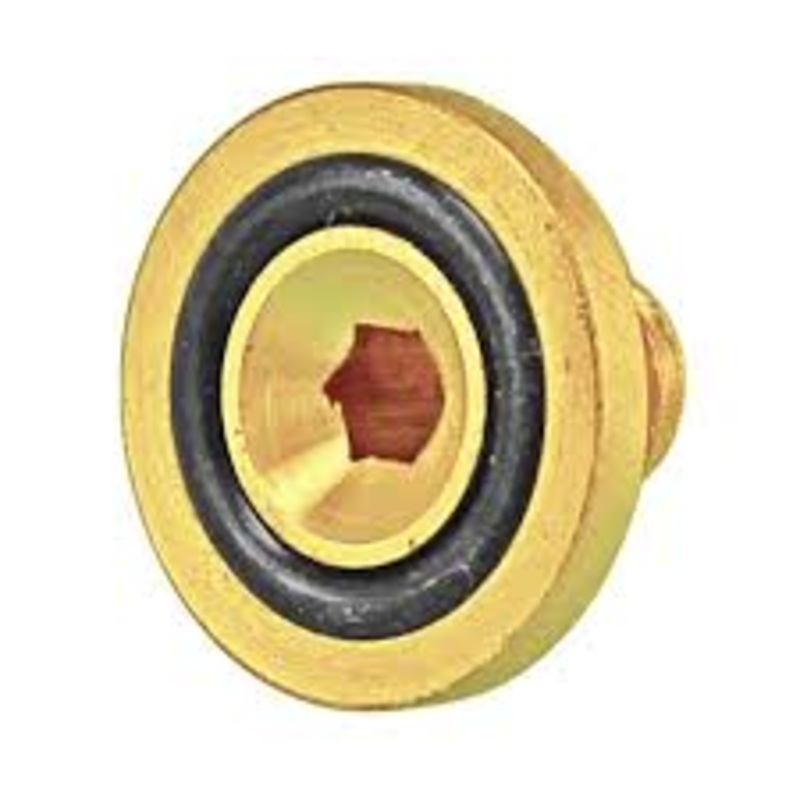 C02 Leak Stopping O-ring