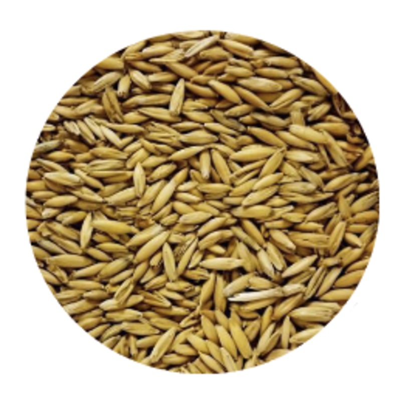 Chit Malt – Best Malz (per lb)