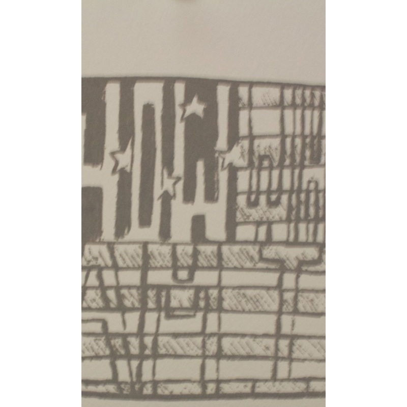 Abdul-Musawwir, Najjar, (Confronting Whiteness)
