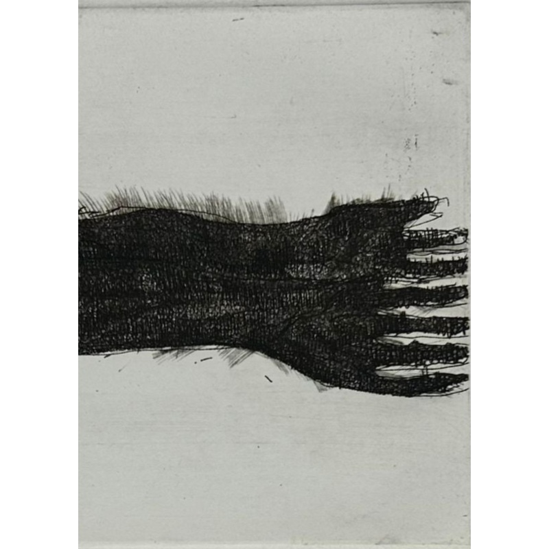 Holton, Curlee Raven, (Necessary Losses)