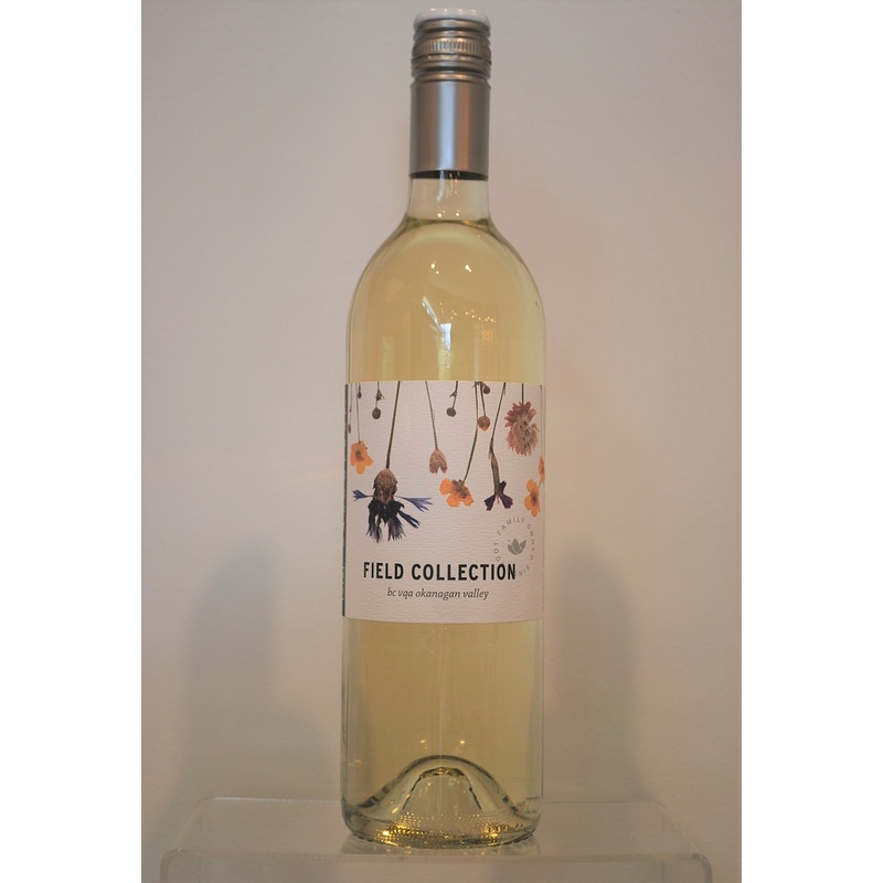 Arrowleaf Field Collection White