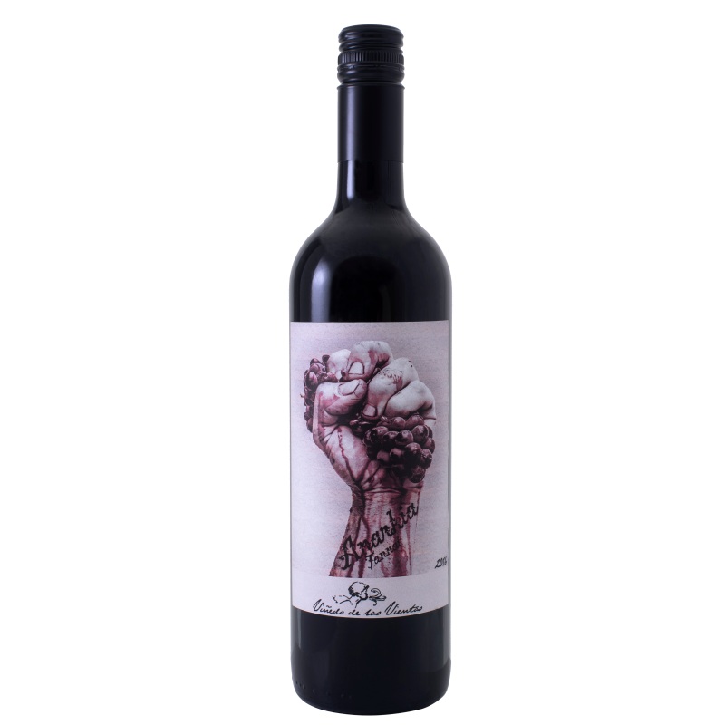 Vinedo de los Vientos Anarkia Tannat