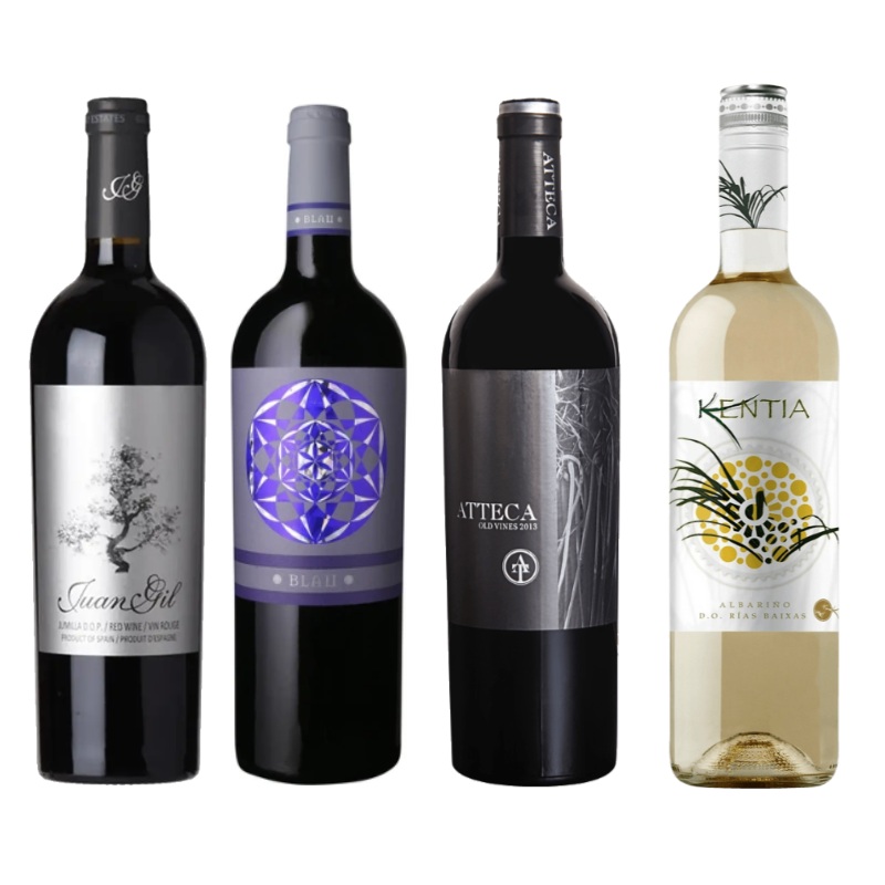 Zoom Gil Family Spanish Wine Tasting Pack