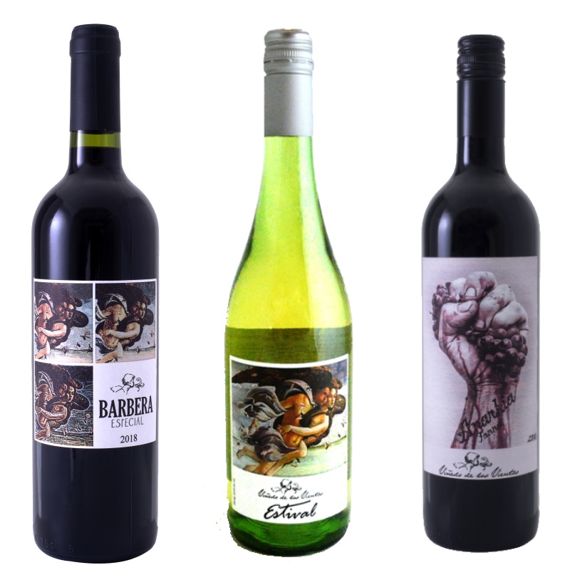 Zoom Vinedo de Los Vientos Uruguayan Wine Tasting Pack – 10/16/20