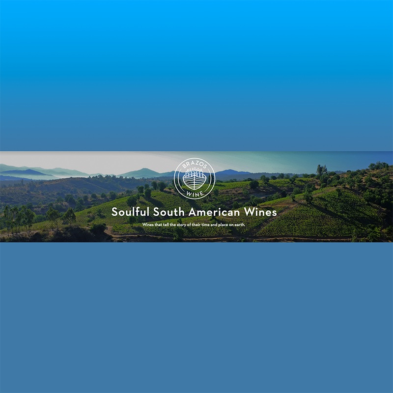 Hybrid South American Wine Tasting 10/29