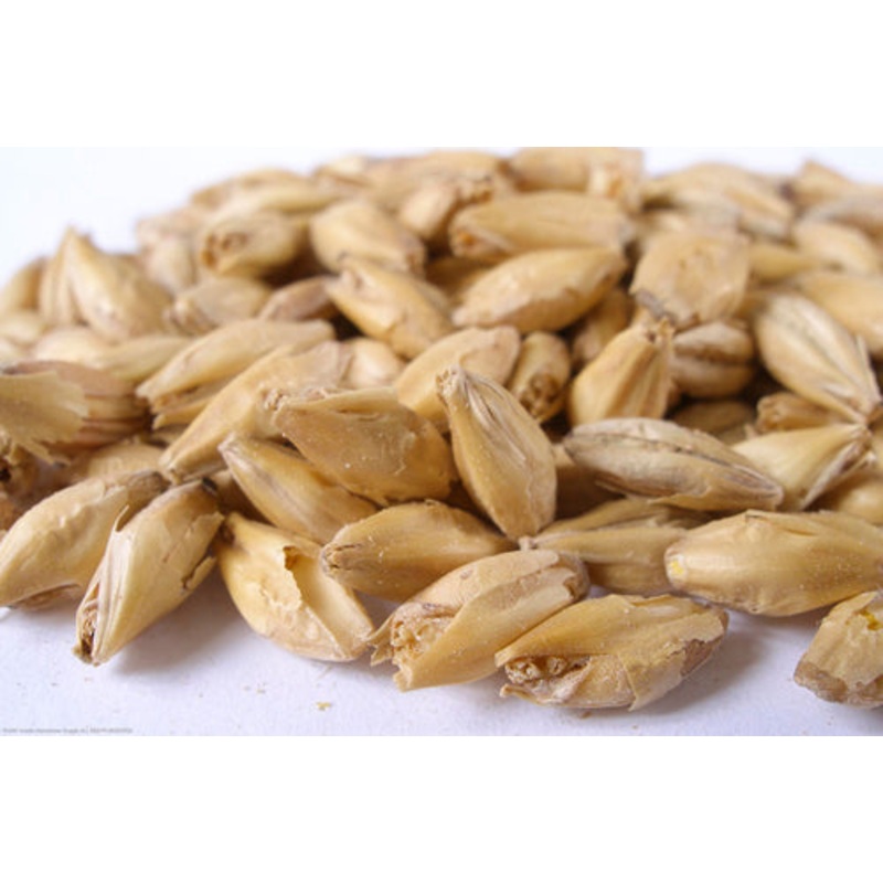 2 Row Malt  – 50 lb bag