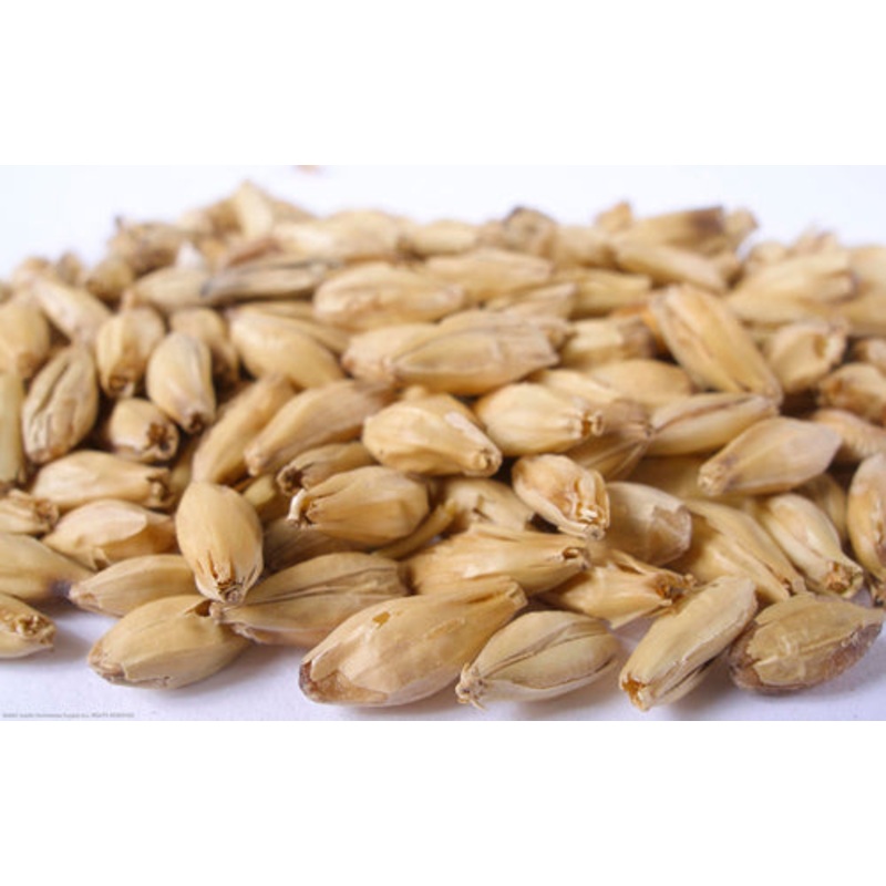 6 Row Malt – lb|One pound|Ten pounds|Yes|NO
