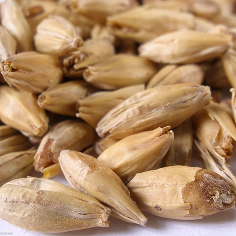 Belgian Pale Malt  – 50 lb bag