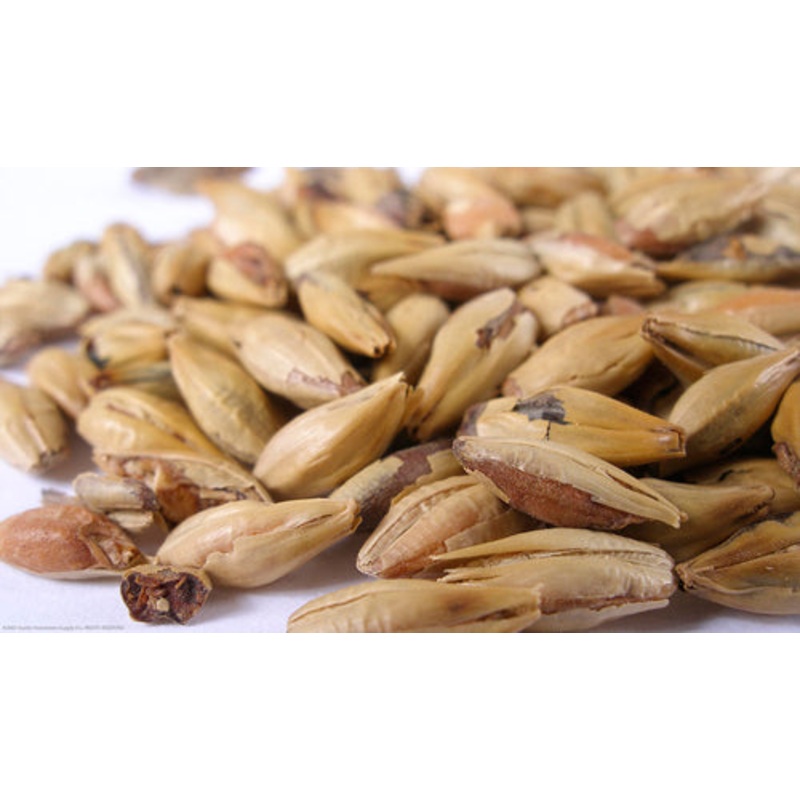 Biscuit Malt – lb|Yes|NO