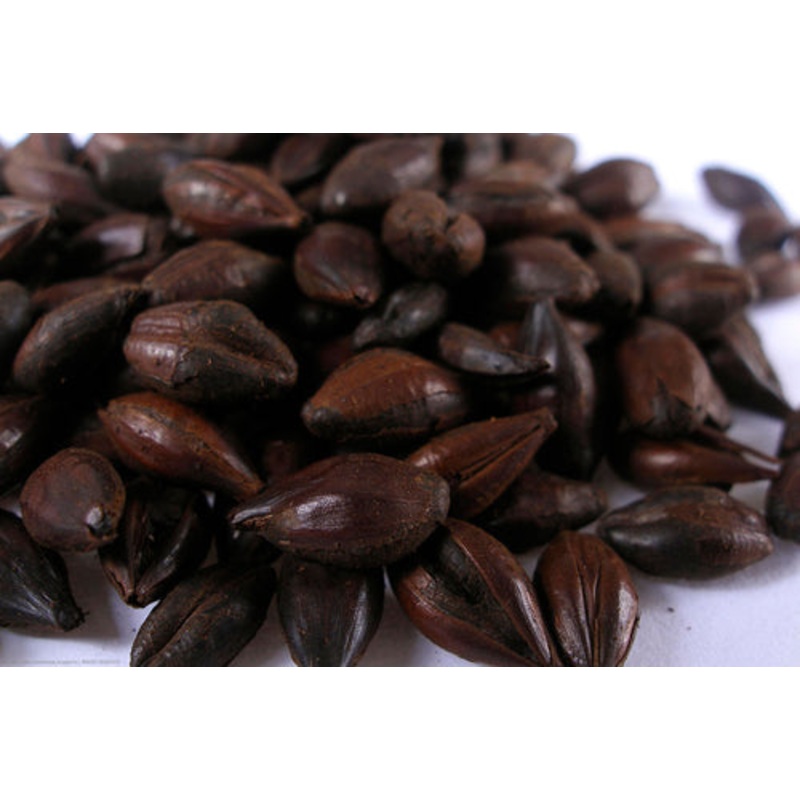Black Barley – lb|Yes|NO