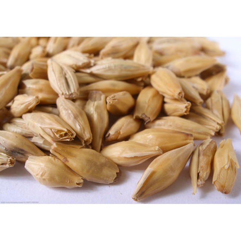 Carapils Malt – lb|One pound|Ten pounds|Yes|NO