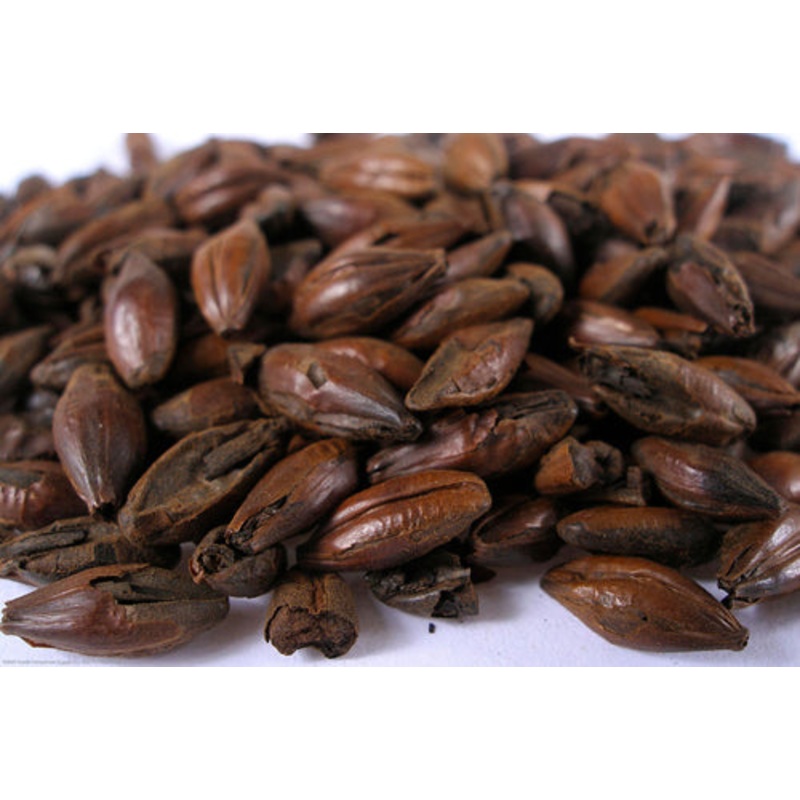 Chocolate Malt – lb|One pound|Ten pounds|Yes|NO