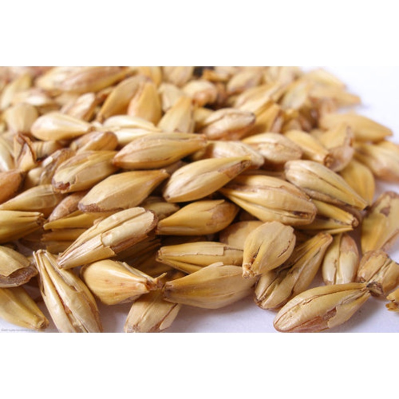 Crystal 10 L Malt  – 50 lb bag