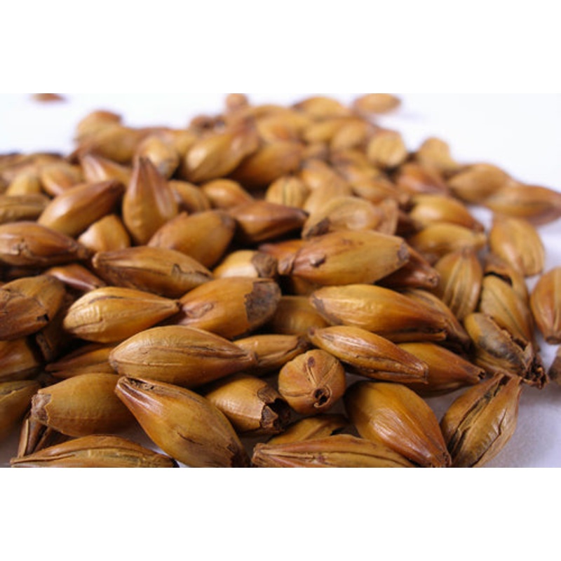 Crystal 120 L Malt  – 50 lb bag