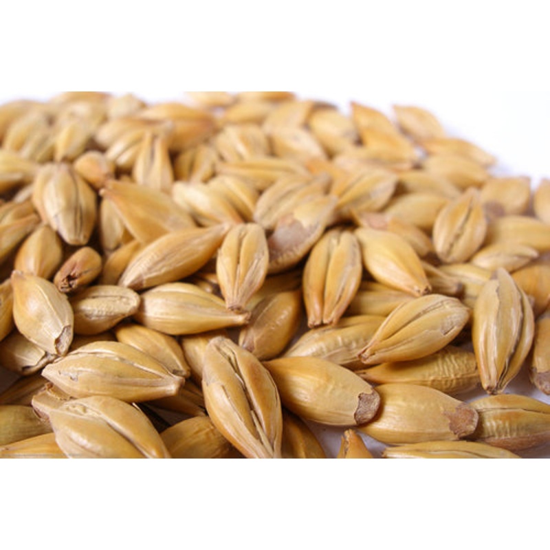 Crystal 20 L Malt  – 50 lb bag
