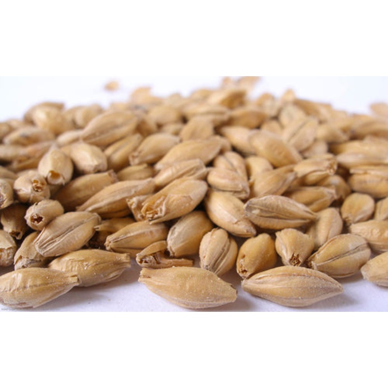 Maris Otter Malt  – 50 lb bag