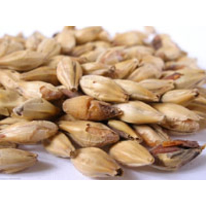 Melanoidin Malt – lb|Yes|NO