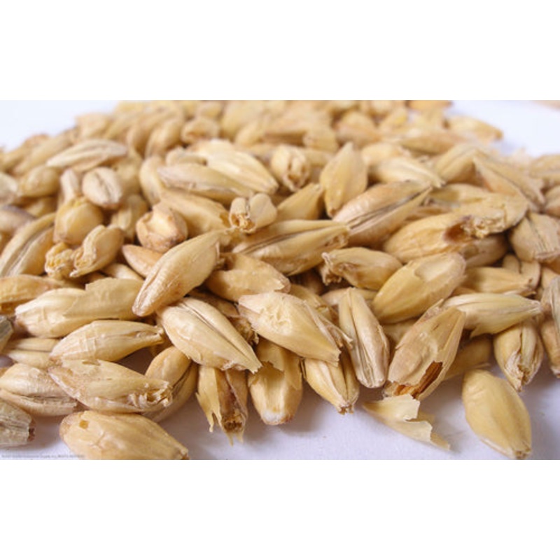 Pale Ale Malt – lb|One pound|Ten pounds|Yes|NO
