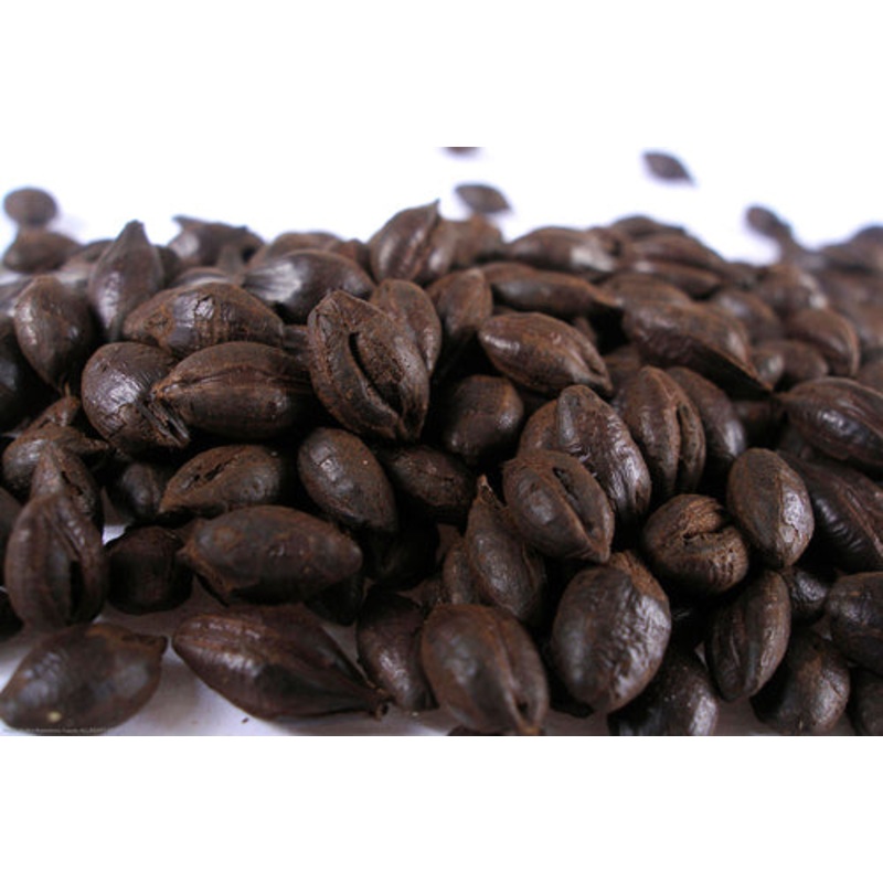Roasted Barley Malt  – 50 lb bag