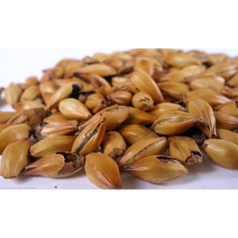 Special B Malt – lb|Yes|NO