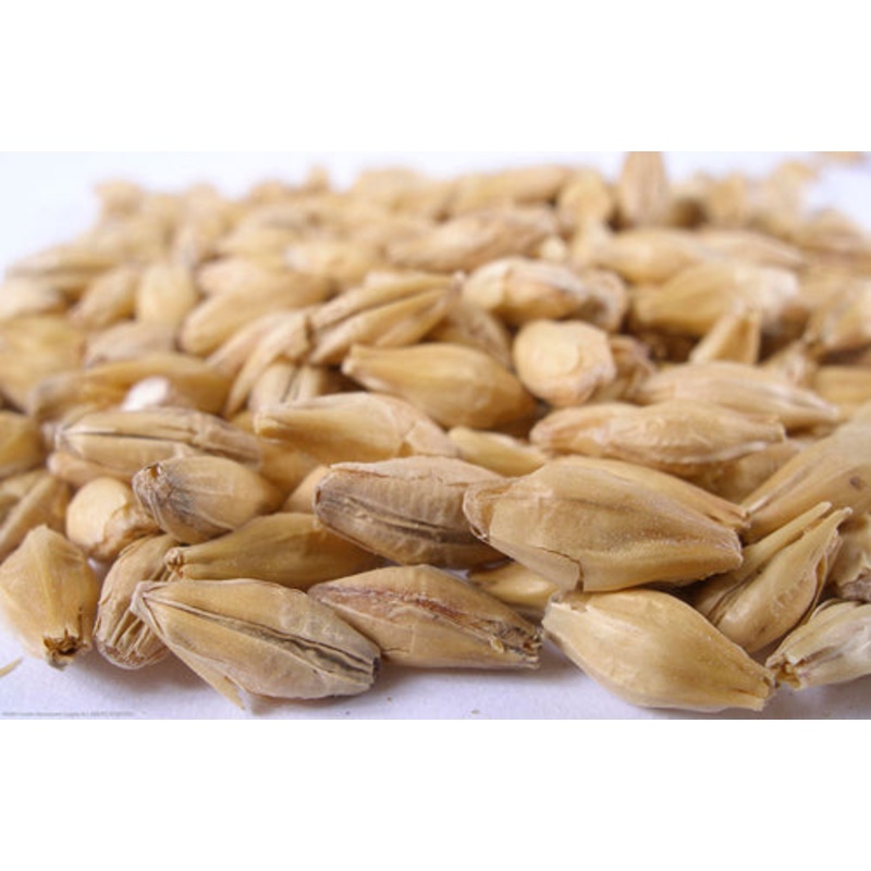 Vienna Malt – lb|One pound|Ten pounds|Yes|NO