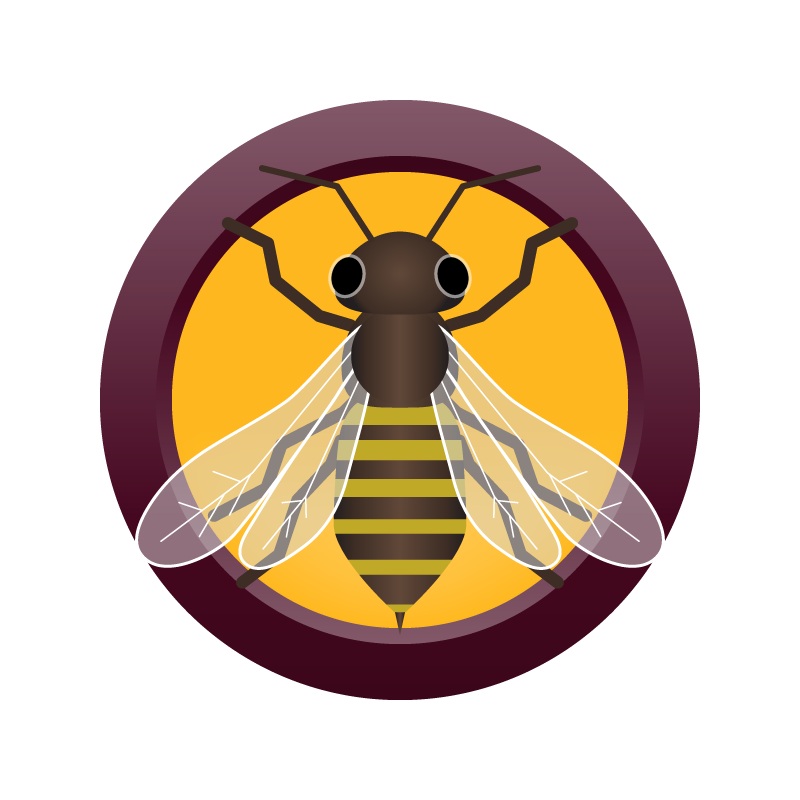 AHS English Honey Bitter  (8C) – EXTRACT Homebrew Ingredient Kit