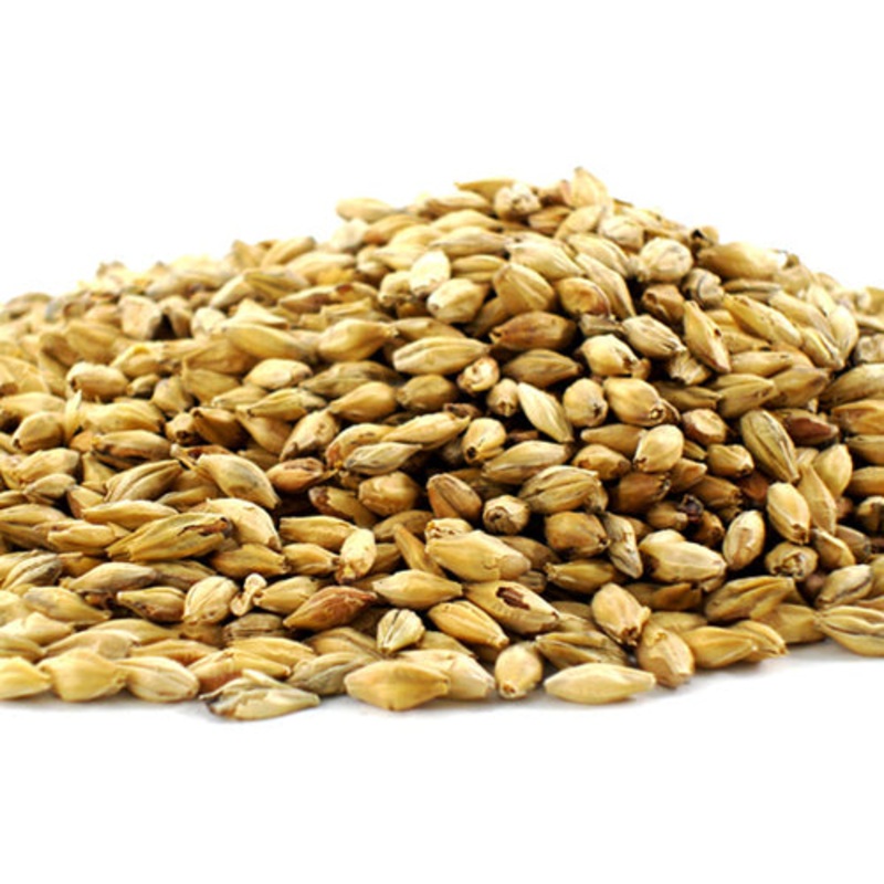 Best Malz Red X Malt  – 50 lb bag