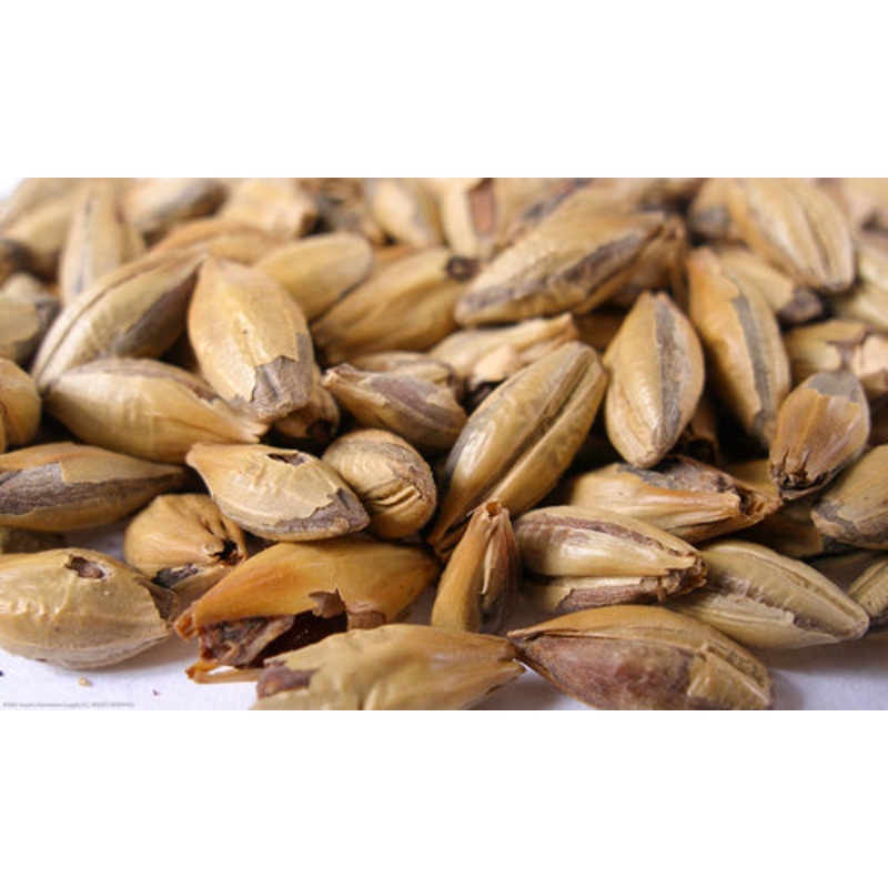 Brown Malt  – 50 lb bag
