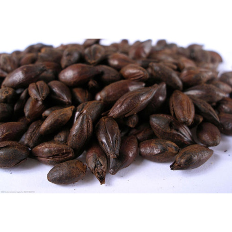 Carafa III  – 50 lb bag