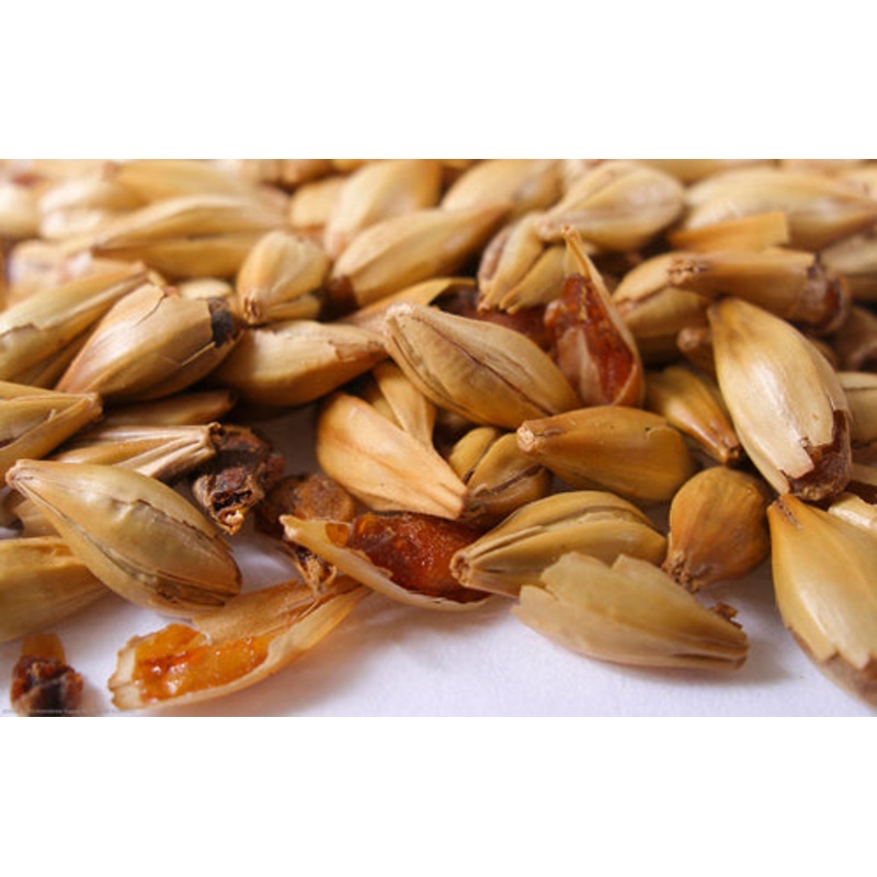 Caravienne Malt  – 50 lb bag