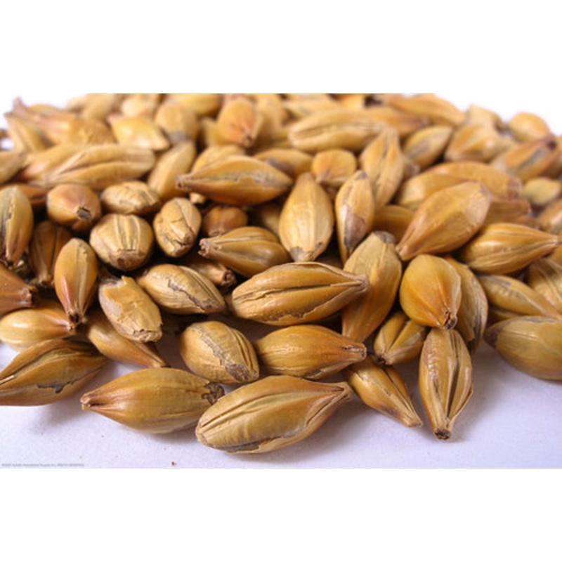 Crystal 40 L Malt  – 50 lb bag