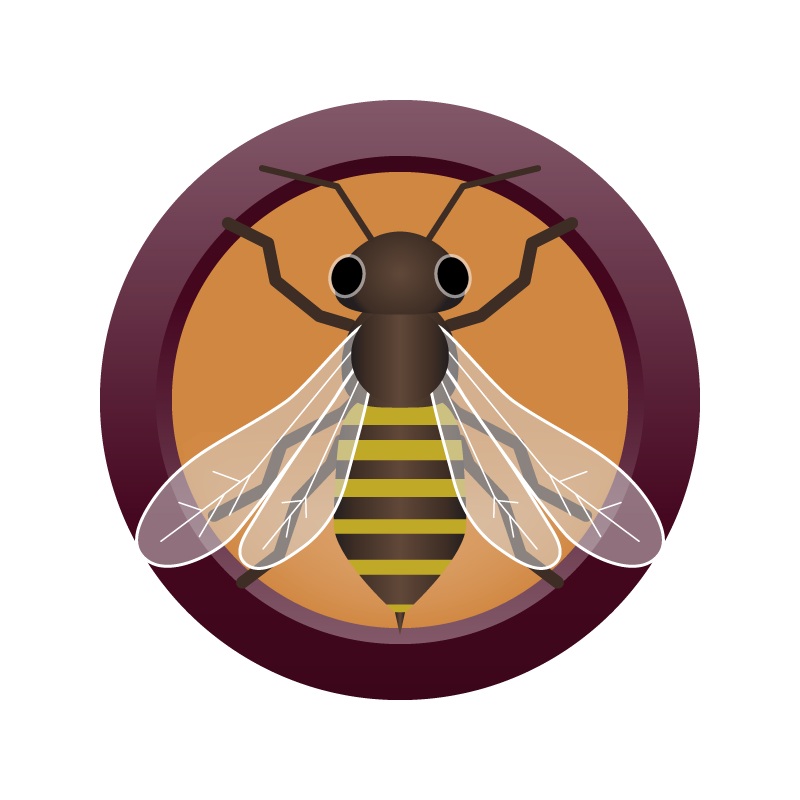 AHS Honey Brown Ale  (10C) – EXTRACT Homebrew Ingredient Kit