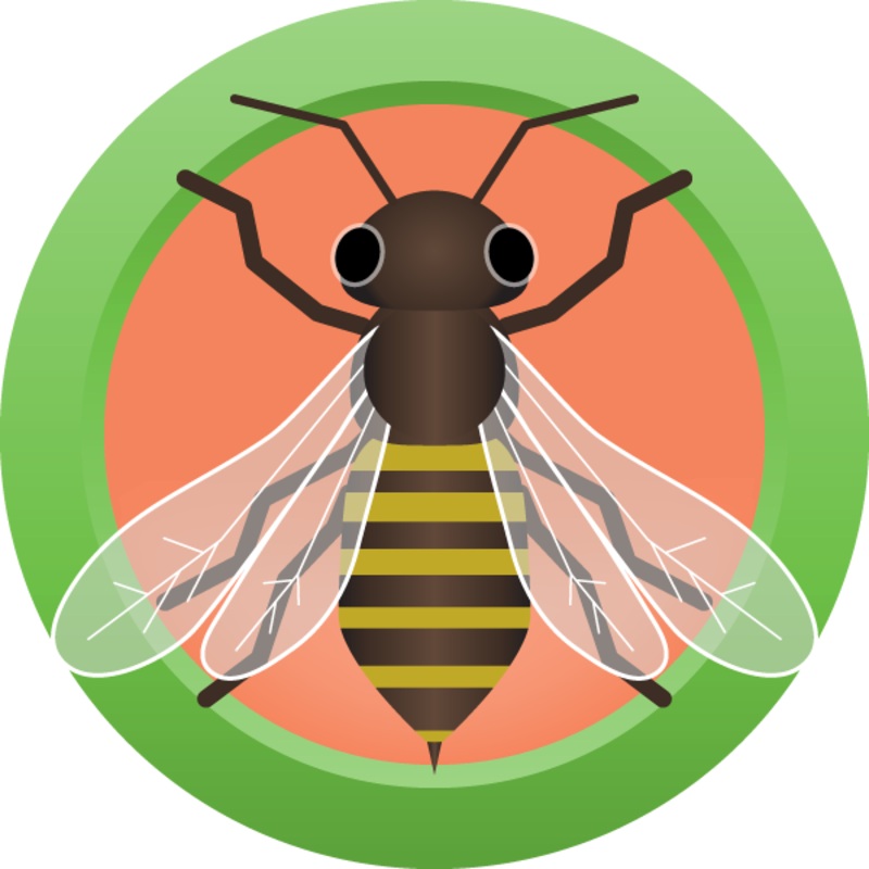 AHS Honey Ginger Lager (23) – EXTRACT Homebrew Ingredient Kit